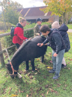 /album/nejnovejsi-fotografie/img-8450-jpeg1/