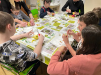 /album/nejnovejsi-fotografie/img-4325-jpeg1/