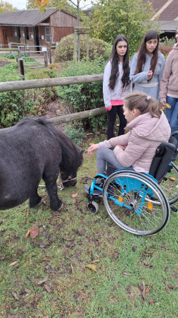 Výlet Ekofarma Milínov 2025
