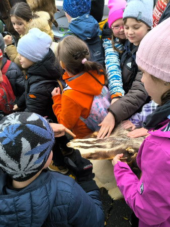 Lesní pedagogika 2025