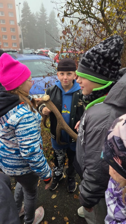 Lesní pedagogika 2025