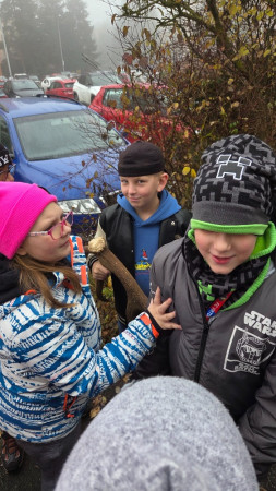 Lesní pedagogika 2025