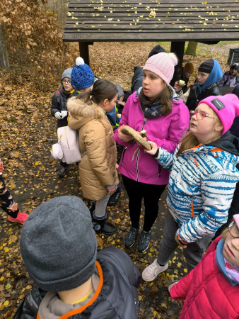 Lesní pedagogika 2025