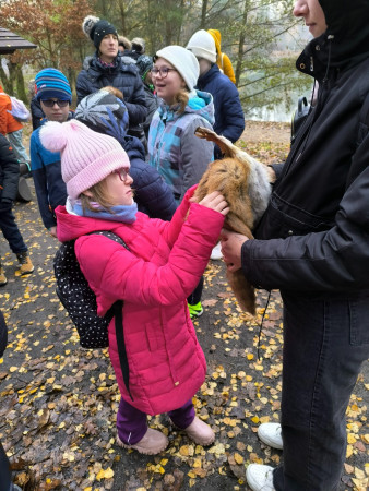 Lesní pedagogika 2025