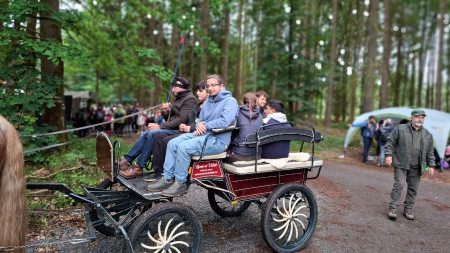 Den s lesy ČR 2026