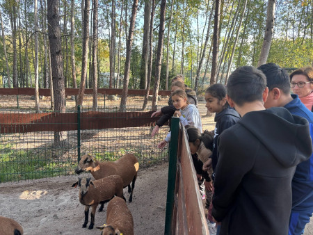 Farmapark u Toma 2026